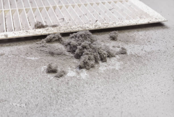 Best Residential Air Duct Cleaning  in Cleves, OH