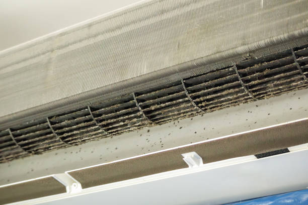 Best Air Vent Cleaning Services  in Cleves, OH