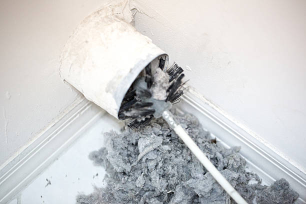 Best Local Air Duct Cleaning Services  in Cleves, OH